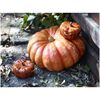 Ceramique, Cocotte 12 cm, calabaza, Canela, Cer&aacute;mica, small 9
