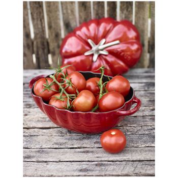 D&ouml;k&uuml;m Tencere | Kiraz | 25 cm | 2,8 l | Domates,,large 10
