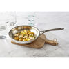 Atlantis, 9-inch, 18/10 Stainless Steel, Proline Fry Pan, small 10
