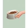 Ceramique, Pet Bowl 800 ml, ceramic, eucalyptus, small 6