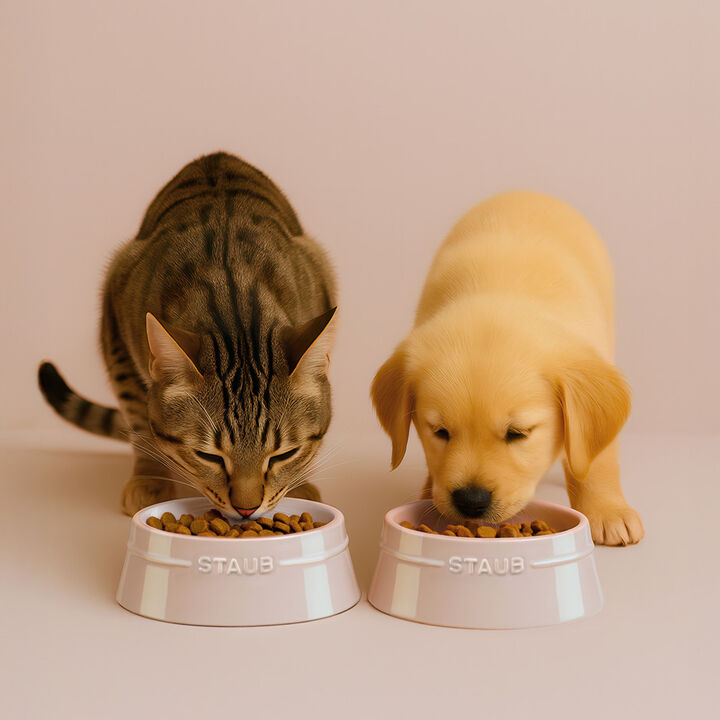 Ceramique, Pet Bowl 800 ml, ceramic, light pink, large 4