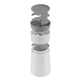 Spiralschneider, Grau