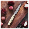 KRAMER Cumulus, 4-inch, Paring knife, small 3
