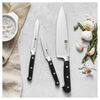 Professional S, 3-pc, Starter Knife Set, small 6