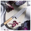 KOYA 4000FCv2, Bunka 7 inch, small 5