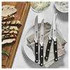Professional S, 4-pc, Steak Knife Set, small 7