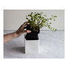 Ceramic Storage, 0.9 qt, Ceramic, Medium Box With Herb Pot And Lid , small 2