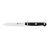 TWIN Gourmet, Skalkniv 10 cm, small 1