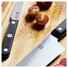 Gourmet, ZWILLING GOURMET 2 PC CHEF AND PARING KNIFE SET, small 9